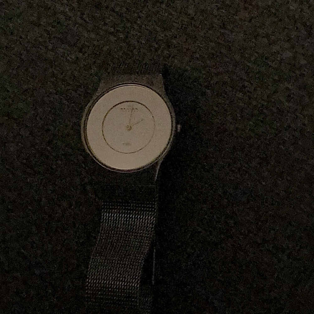 Skagen Ladies Watch